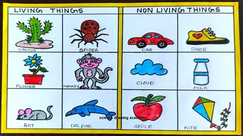 drawing of non living things is called|Living Things Science Experiment .